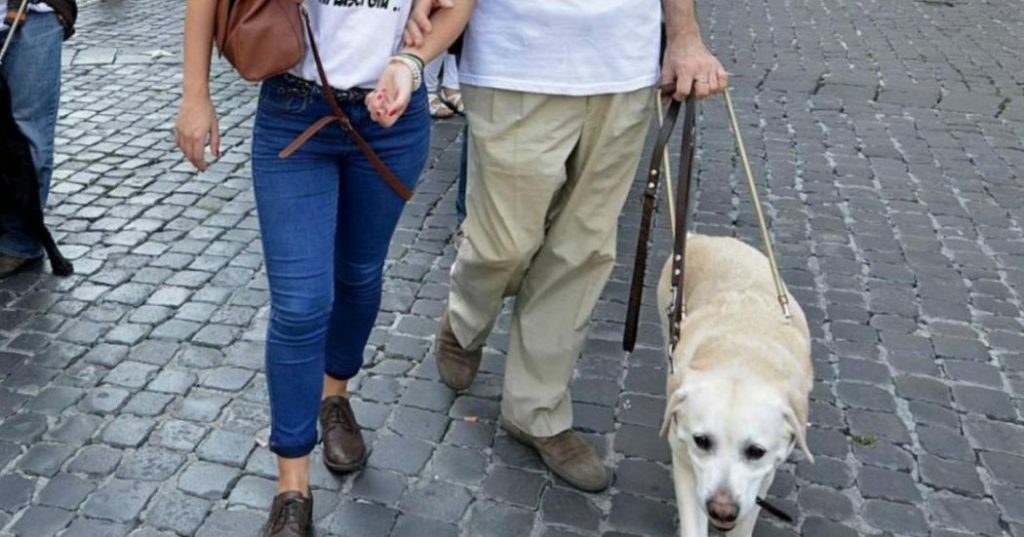 persona con disabilità visiva con cane guida e accompagnatore