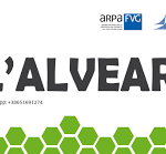 Durante la trasmissione "L'Alveare" di Radio Capodistria del 7 febbraio si è parlato di accessibilità e sicurezza delle persone con disabilità