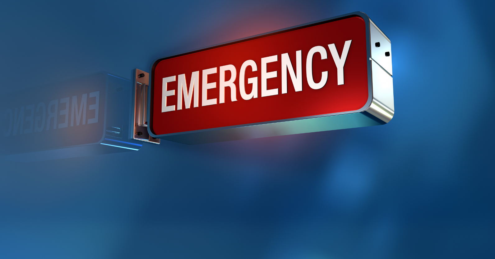 Workshop consultivo: “Preparazione e risposta alle emergenze che tengano conto della disabilità”